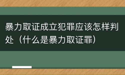 暴力取证成立犯罪应该怎样判处（什么是暴力取证罪）