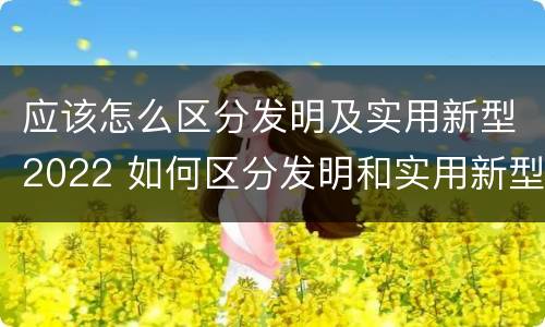 应该怎么区分发明及实用新型2022 如何区分发明和实用新型