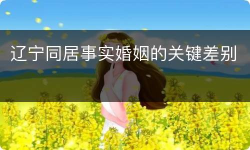 辽宁同居事实婚姻的关键差别