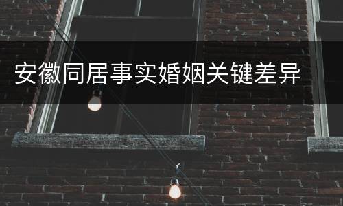 安徽同居事实婚姻关键差异