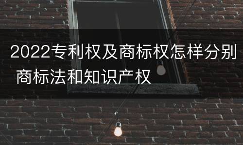 2022专利权及商标权怎样分别 商标法和知识产权