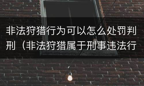 非法狩猎行为可以怎么处罚判刑（非法狩猎属于刑事违法行为吗）