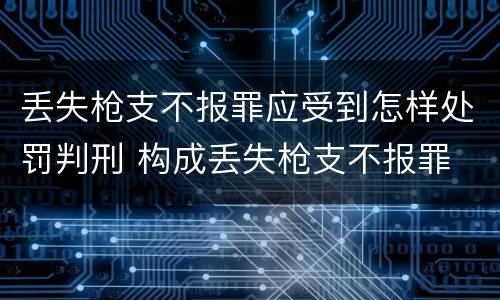丢失枪支不报罪应受到怎样处罚判刑 构成丢失枪支不报罪
