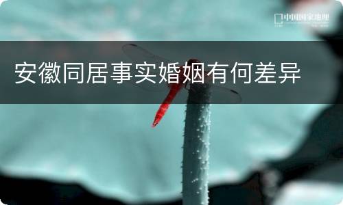 安徽同居事实婚姻有何差异