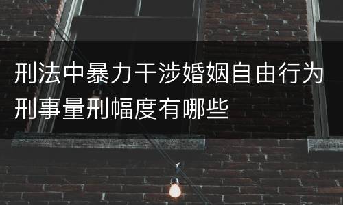 刑法中暴力干涉婚姻自由行为刑事量刑幅度有哪些