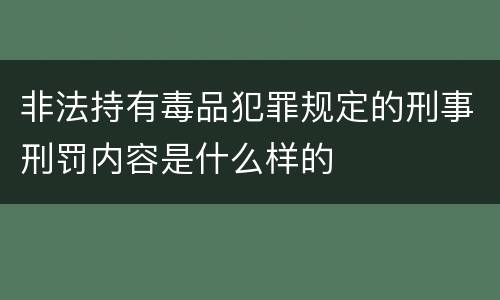 非法持有毒品犯罪规定的刑事刑罚内容是什么样的