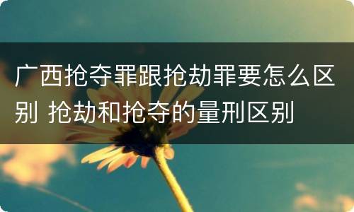 广西抢夺罪跟抢劫罪要怎么区别 抢劫和抢夺的量刑区别