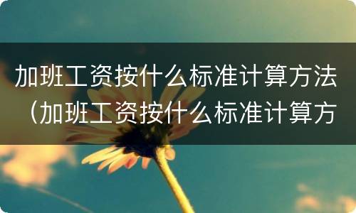 加班工资按什么标准计算方法（加班工资按什么标准计算方法最合理）