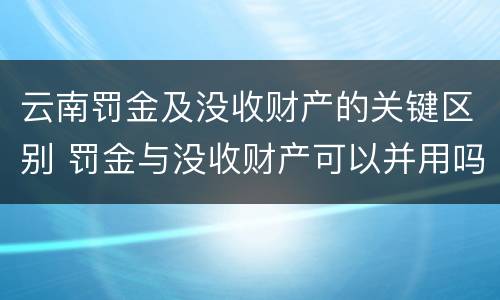 云南罚金及没收财产的关键区别 罚金与没收财产可以并用吗