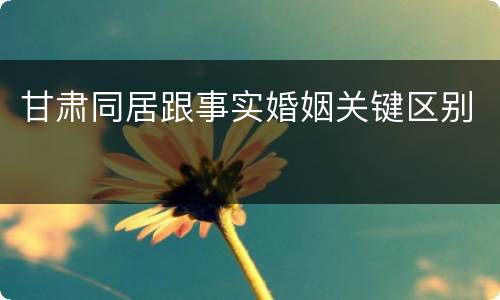 甘肃同居跟事实婚姻关键区别