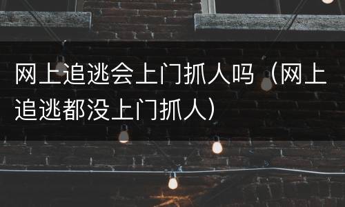 网上追逃会上门抓人吗（网上追逃都没上门抓人）