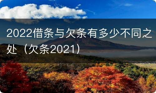2022借条与欠条有多少不同之处（欠条2021）