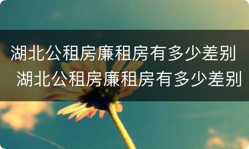 湖北公租房廉租房有多少差别 湖北公租房廉租房有多少差别啊