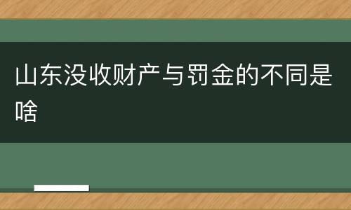 山东没收财产与罚金的不同是啥