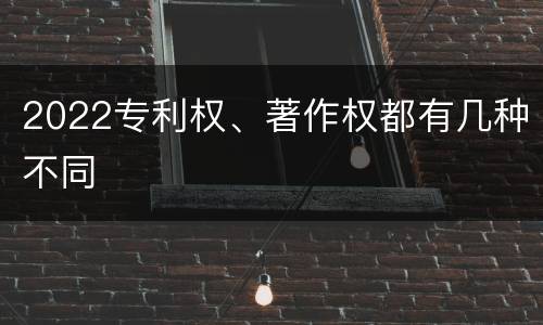2022专利权、著作权都有几种不同