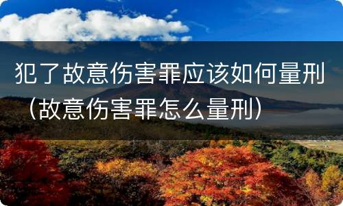 犯了故意伤害罪应该如何量刑（故意伤害罪怎么量刑）