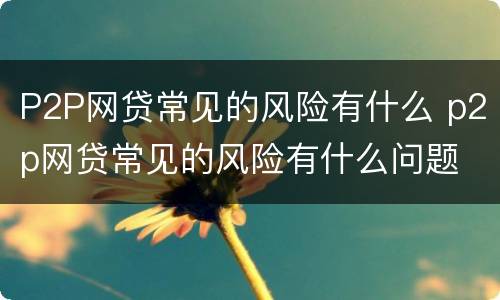 P2P网贷常见的风险有什么 p2p网贷常见的风险有什么问题