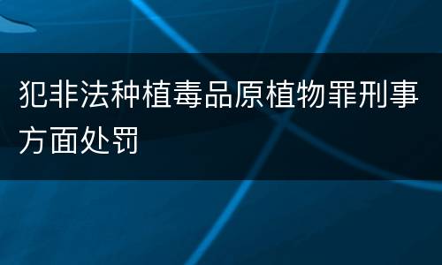 犯非法种植毒品原植物罪刑事方面处罚