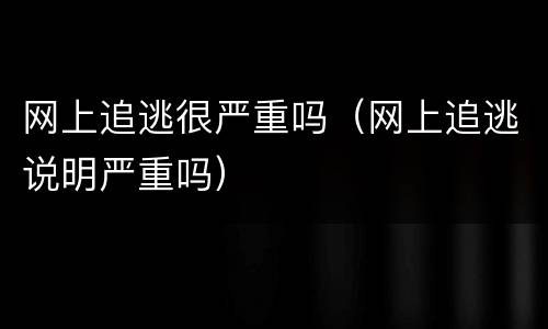 网上追逃很严重吗（网上追逃说明严重吗）