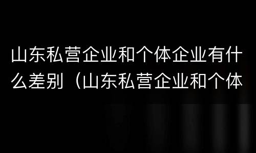 山东私营企业和个体企业有什么差别（山东私营企业和个体企业有什么差别吗）