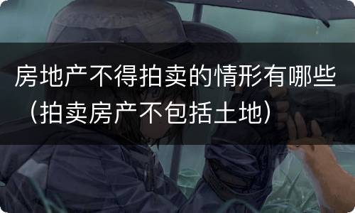 房地产不得拍卖的情形有哪些（拍卖房产不包括土地）