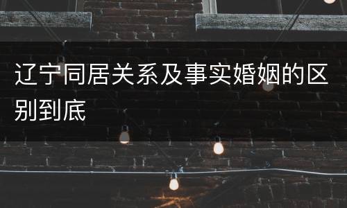 辽宁同居关系及事实婚姻的区别到底