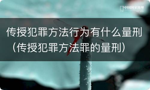 传授犯罪方法行为有什么量刑（传授犯罪方法罪的量刑）