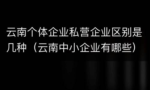 云南个体企业私营企业区别是几种（云南中小企业有哪些）