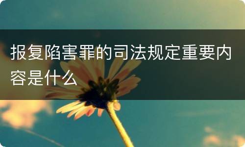 报复陷害罪的司法规定重要内容是什么