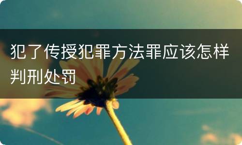 犯了传授犯罪方法罪应该怎样判刑处罚