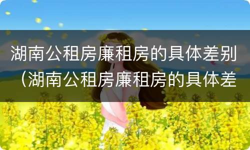 湖南公租房廉租房的具体差别（湖南公租房廉租房的具体差别是什么）