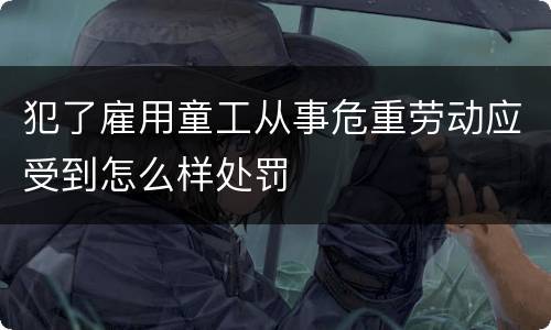 犯了雇用童工从事危重劳动应受到怎么样处罚