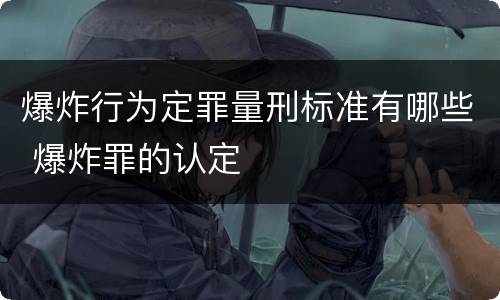 爆炸行为定罪量刑标准有哪些 爆炸罪的认定