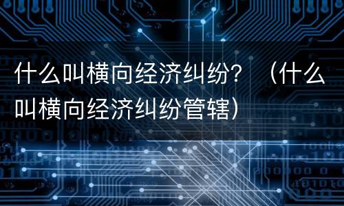 什么叫横向经济纠纷？（什么叫横向经济纠纷管辖）