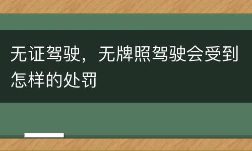 无证驾驶，无牌照驾驶会受到怎样的处罚