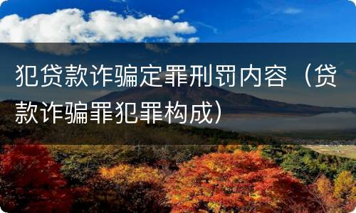 犯贷款诈骗定罪刑罚内容（贷款诈骗罪犯罪构成）