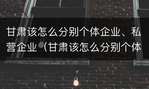 甘肃该怎么分别个体企业、私营企业（甘肃该怎么分别个体企业,私营企业和国企）