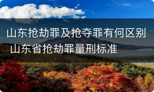 山东抢劫罪及抢夺罪有何区别 山东省抢劫罪量刑标准