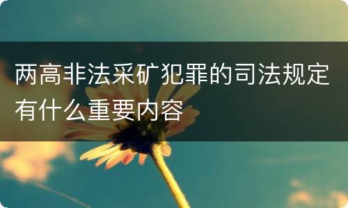 两高非法采矿犯罪的司法规定有什么重要内容