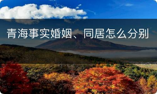 青海事实婚姻、同居怎么分别