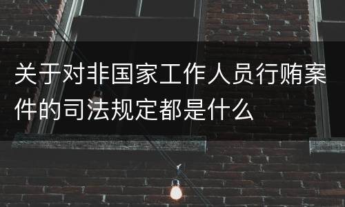 关于对非国家工作人员行贿案件的司法规定都是什么
