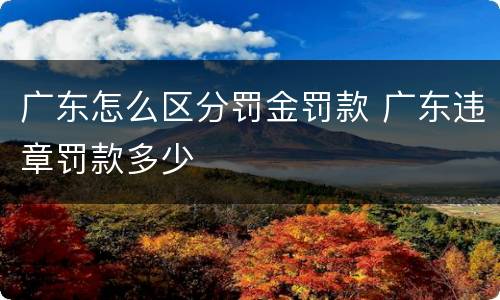 广东怎么区分罚金罚款 广东违章罚款多少