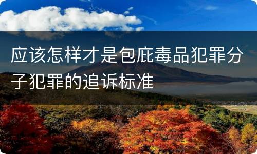 应该怎样才是包庇毒品犯罪分子犯罪的追诉标准