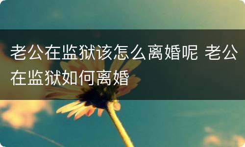 老公在监狱该怎么离婚呢 老公在监狱如何离婚