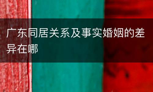 广东同居关系及事实婚姻的差异在哪