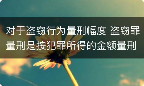 对于盗窃行为量刑幅度 盗窃罪量刑是按犯罪所得的金额量刑吗