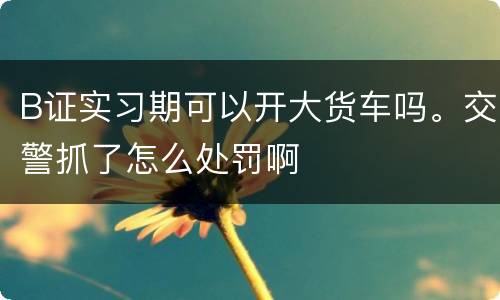 B证实习期可以开大货车吗。交警抓了怎么处罚啊
