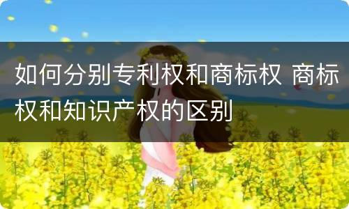 如何分别专利权和商标权 商标权和知识产权的区别