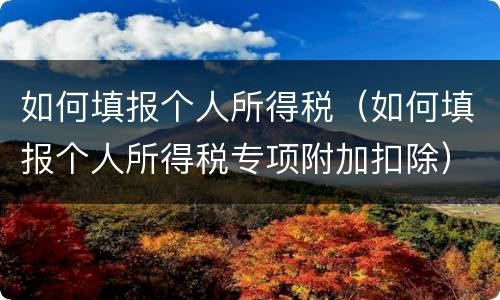 如何填报个人所得税（如何填报个人所得税专项附加扣除）