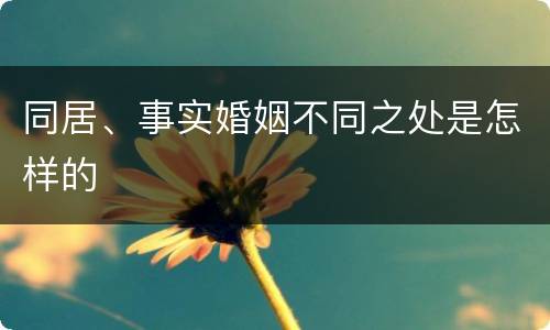 同居、事实婚姻不同之处是怎样的